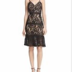 Aqua Black Lace Midi Dress